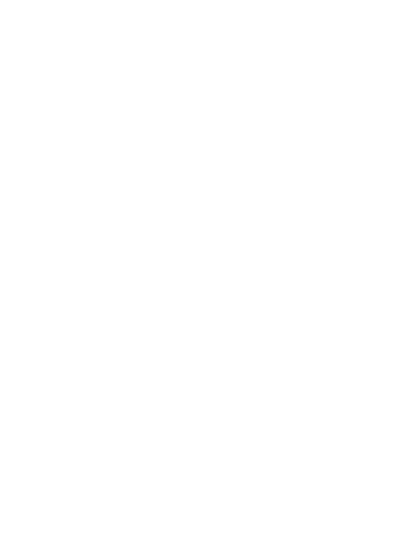 Veridens Logo